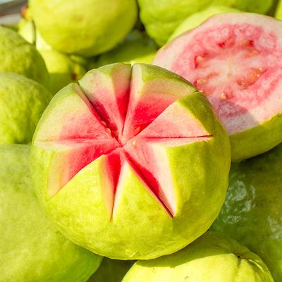 Petal Fresh Perfecting Guava Nectar Body Butter 237 ml - Body Butter