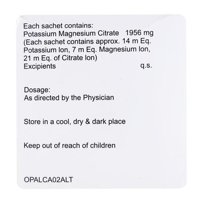 Alkaston Insta Sugar Free Powder 2.321gm - Kidney Disease/Stones-Oth