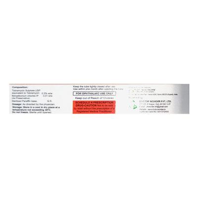 TOBIZAP Eye Ointment 5g - Eye Infections-Eaa