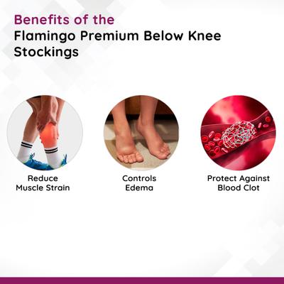 Flamingo Premium Below Knee Stockings (OC2073) (XL) 1's - Knee/Ankle/Leg/Foot Supports