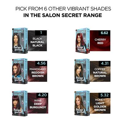 BBlunt Salon Secret High Shine creme Hair Colour Natural Black 108 ml - Crème