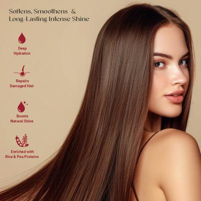 Dr.Willmar Schwabe B&T Nourish Collection Repair & Shine Shampoo For All Skin Type 300 ml - Personal Care (Ayush)