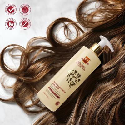 Dr.Willmar Schwabe B&T Nourish Collection Repair & Shine Shampoo For All Skin Type 300 ml - Personal Care (Ayush)