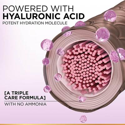 L'Oreal Paris Excellence Creme 3.16 Burgundy with French Rose Oil Triple Care Color (100 gm+72 ml) 1's - Crème