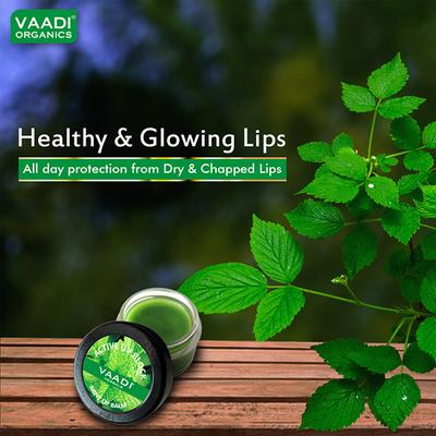 Lip Balm - Mint 10 gm - Lip Balms