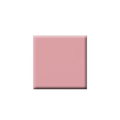 Colorbar Vegan Nail Lacquer-Pep Talk-261 8 ml - Nail Polish