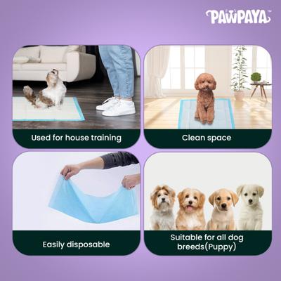 Pawpaya Training Pads 7's - Pet Grooming