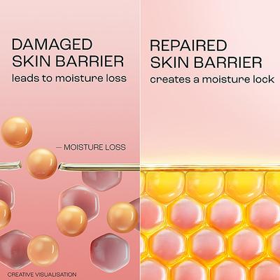 Lakme Peach Milk Light Moisturizer 2% Pro Ceramide, for Skin Barrier repair 120 ml - Lotions & Creams
