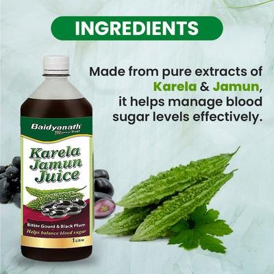 Baidyanath Karela Jamun Juice - Bitter Gourd and Black Plum 1 litre - Ayurvedic Juices