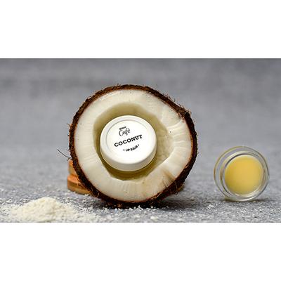 Bodycafe Coconut Lip Balm 10 gm - Lip Balms
