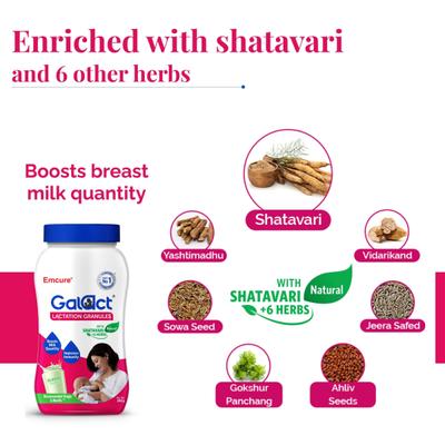 Galact Lactation Granules - Elaichi Flavor 400 g - Nutritional Supplements