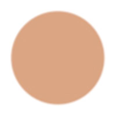 PAC Take Cover Concealer 01 Beach Sand 6.8 gm - Concealer