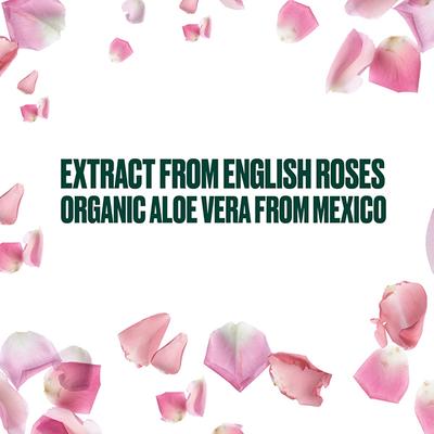 The Body Shop Shower British Rose 250ml - Shower Gels & Body Wash