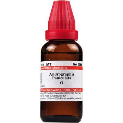 Dr.Willmar Schwabe Andrographis Panicculata (kalmegh) Q Drops 30 ml - Mother Tincture