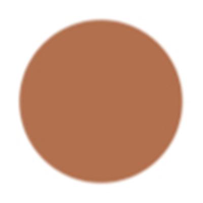 PAC Spotlight Compact Powder 09 Hazelnut 8 gm - Compact Powder