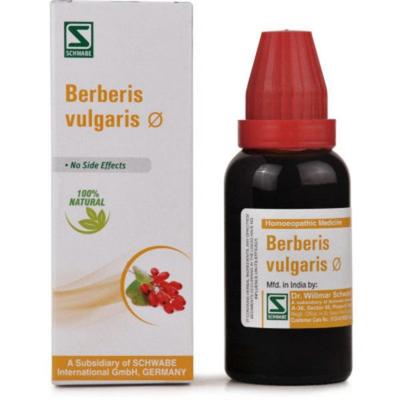 Dr.Willmar Schwabe Berberis Vulgaris Ø Drops 30 ml - Mother Tincture