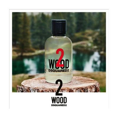 Dsquared2 2 Wood Edt 100 ml - Perfumes (Edt/Edp)