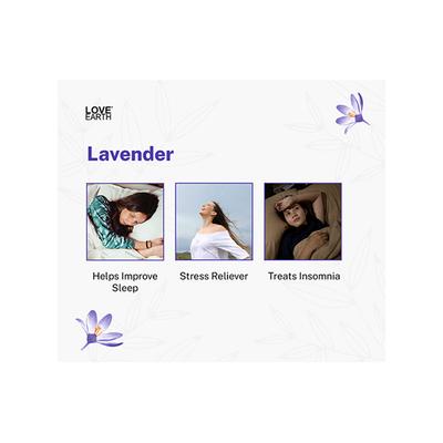 Love Earth Reed Diffuser Lavender Scent with Lavender Extracts 30 ml - Diffuser