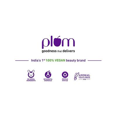 Plum Soft Blend Eyeshadow Patting Brush 05 1 gm - Eye Brush