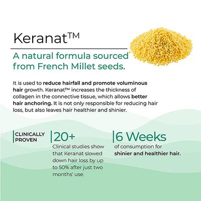 Wellbeing Nutrition Melts Hair Fall Control Keranat and Zinc- Plant-Based Hair Loss Support (30 Strips) - Hair & Skin