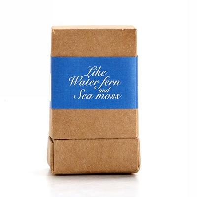 Nyassa Like Water Fern and Sea Moss Fragrance Oil 10 ml - Carrier Oils