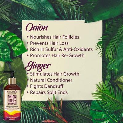 WishCare Onion Ginger Shampoo - Onion Shampoo for Hairfall Control - Paraben and Sulphate Free 300 ml - Shampoos