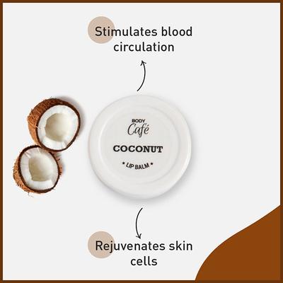 Bodycafe Coconut Lip Balm 10 gm - Lip Balms
