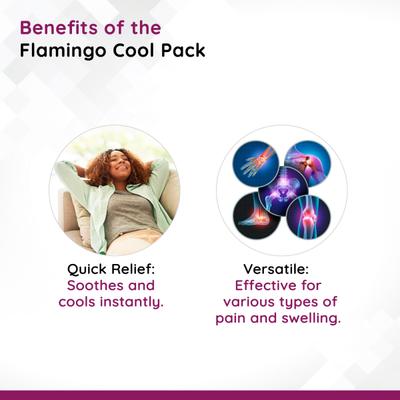 Flamingo Cool Pack - Regular 1 units - Others Ortho Supports