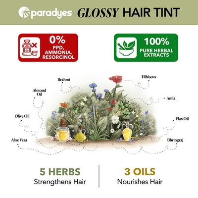 Paradyes Semi-Permanent Berry Plum Glossy Hair Tint, Enriched with Herbal Extracts Red\-Purple 160 gm - Crème