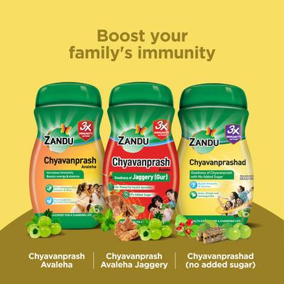 Zandu Chyavanprashad Sugar Free Revitalizer 900 gm - Chyawanprash