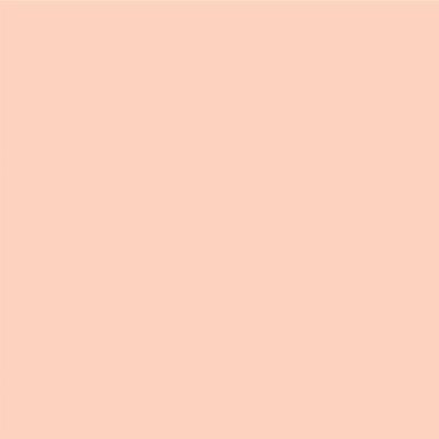 Pac Spotlight Liquid Foundation (Snow Angel) 40 ml - Foundation