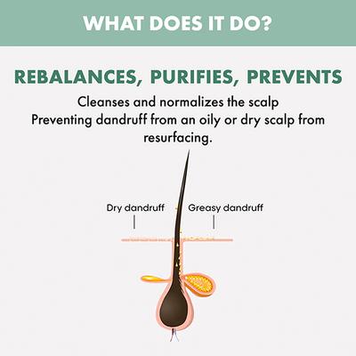 Alfaparf Milano Scalp Rebalance Purifying Low Shampoo - Anti Dandruff For All Scalps 250 ml - Shampoos