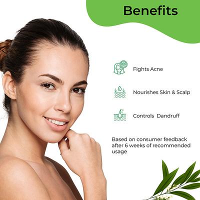 Pilgrim Tea Tree Essential Oil 10 ml - Essential Oils