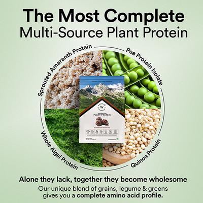 Wellbeing Nutrition Organic Vegan Plant Protein Isolate - Belgian Dark Chocolate 907 gm - Protein Drink