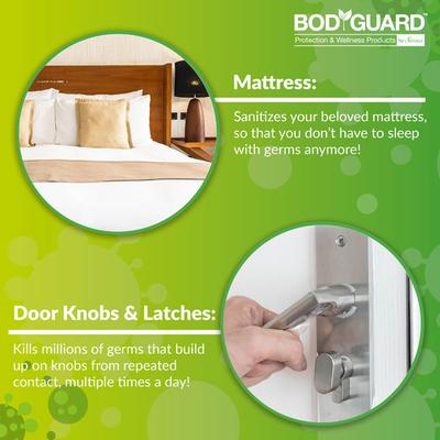BodyGuard Disinfectant Spray 300 ml - Others