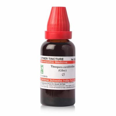Dr.Willmar Schwabe Tinospora Cordifolia (Giloy) Q Mother Tincture 30 ml - Giloy