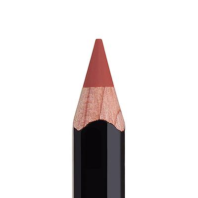 Anastasia Beverly hills Lip Liner - Raisin 1.49 gm - Lip Liners