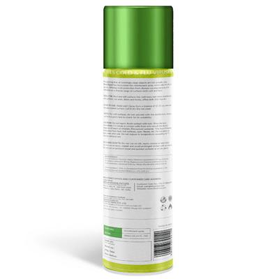 BodyGuard Disinfectant Spray 300 ml - Others