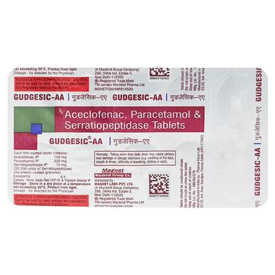Gudgesic AA Tablet 10'S - Pain relief-Nsa