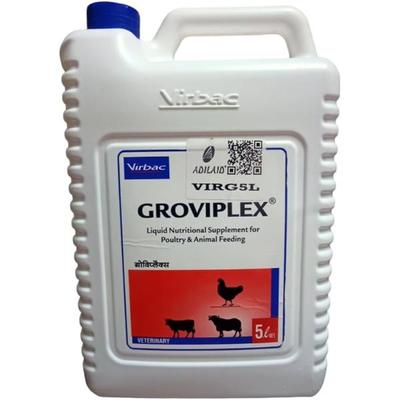 Virbac Groviplex Syrup (L) 5 L - Pet Healthcare