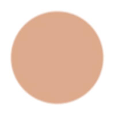 PAC Take Cover Concealer 11 Birthday Suit 6.8 gm - Concealer