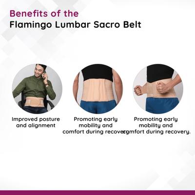 Flamingo Lumbar Sacro Belt - Black (OC - 2001) (L) - Abdomen/Neck/Arm/Elbow Supports