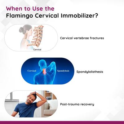 Flamingo Cervical Immobilizer (OC - 2008) (M) - Abdomen/Neck/Arm/Elbow Supports