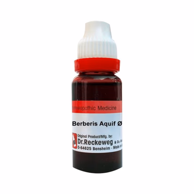 Dr. Reckeweg Berberis Aquifolium Q Liquid 20 ml - Mother Tincture