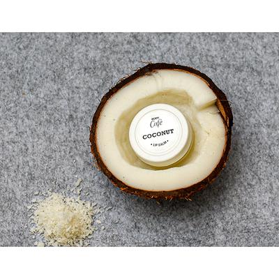 Bodycafe Coconut Lip Balm 10 gm - Lip Balms