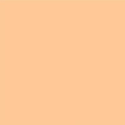 Pac Spotlight Liquid Foundation (Sand Bank) 40 ml - Foundation