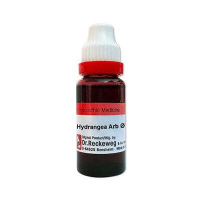Dr. Reckeweg Hydrangea arborescens Q Liquid 20 ml - Mother Tincture