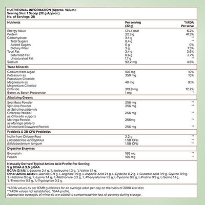 Wellbeing Nutrition Organic Vegan Plant Protein Isolate - Belgian Dark Chocolate 907 gm - Protein Drink