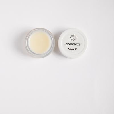 Bodycafe Coconut Lip Balm 10 gm - Lip Balms