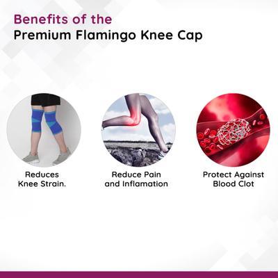 Flamingo Premium Knee Cap (OC2127) (L) 1's - Knee/Ankle/Leg/Foot Supports